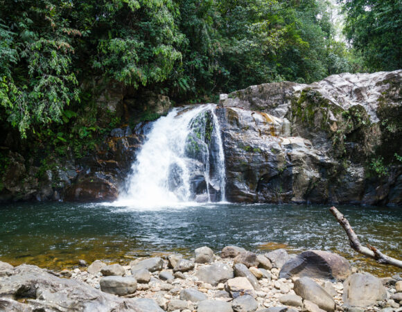 Sinharaja Forest Reserve